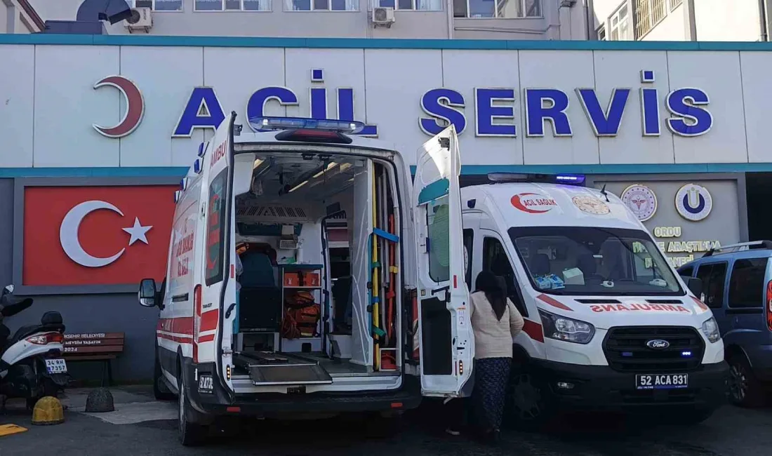 ORDU'DA, KOMBİ BACASI ARIZASI