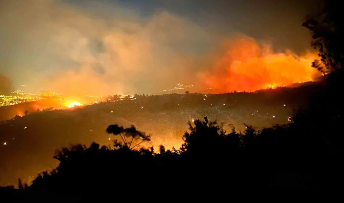 HATAY'IN ARSUZ İLÇESİNDE ÇIKAN