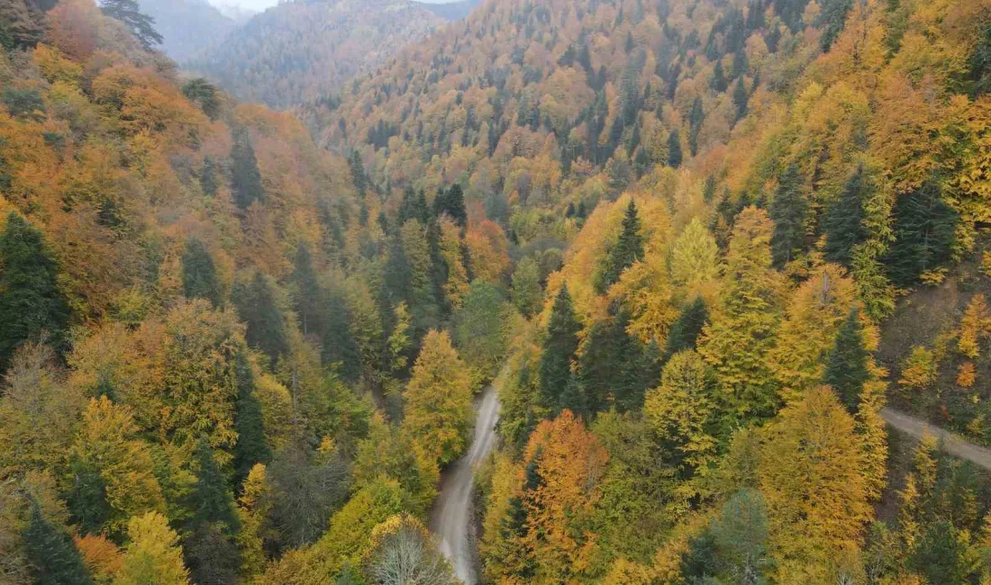 BOLU’NUN DOĞA HARİKASI YEDİGÖLLER