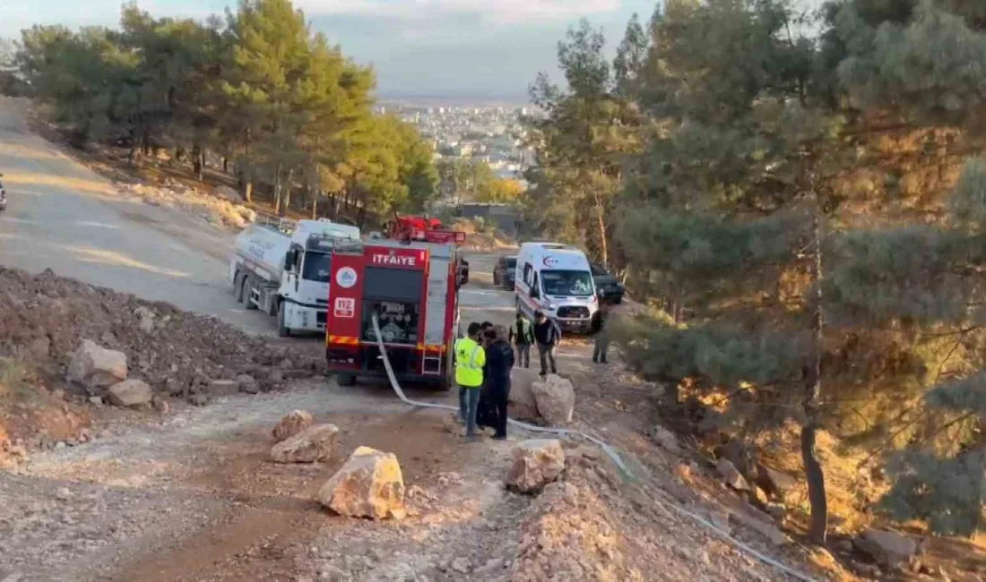 ADIYAMAN’DA, ORMANLIK ALANDA ÇIKAN