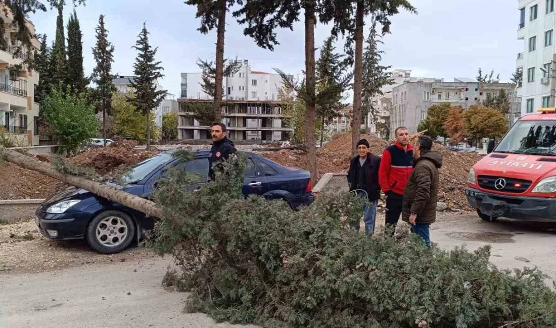 ADIYAMAN’DA, ANİDEN BASTIRAN RÜZGARA