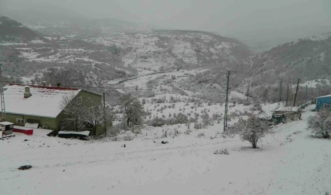 ARDAHAN’IN POSOF İLÇESİ ETKİLİ