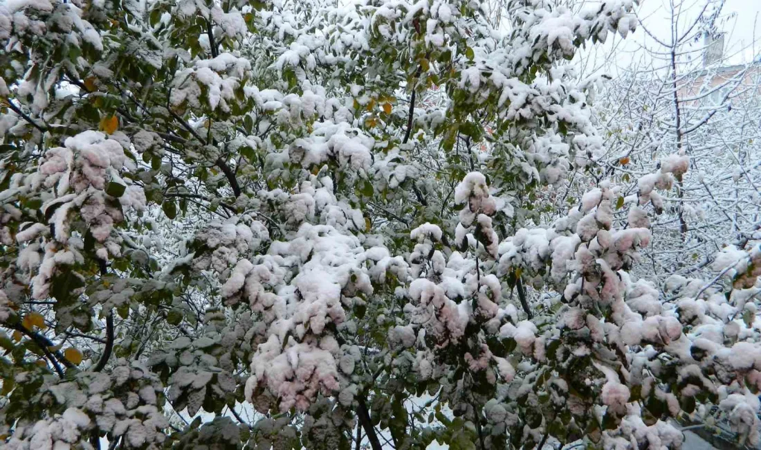 ARDAHAN’IN POSOF İLÇESİ GÜNE