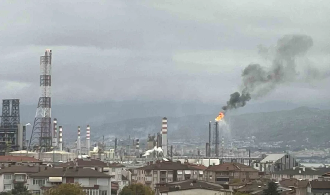 KOCAELİ'NİN KÖRFEZ İLÇESİNDE BULUNAN