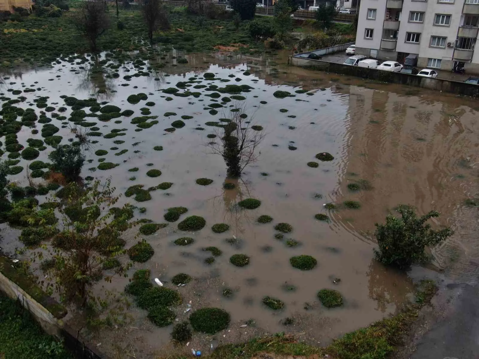 Rize’deki şiddetli yağıştan tarım arazileri de nasibini aldı