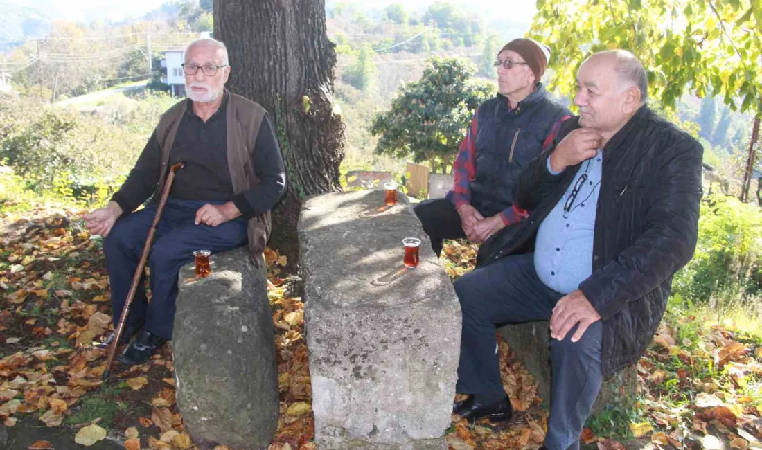 ORDU’NUN FATSA İLÇESİNDE ROMA