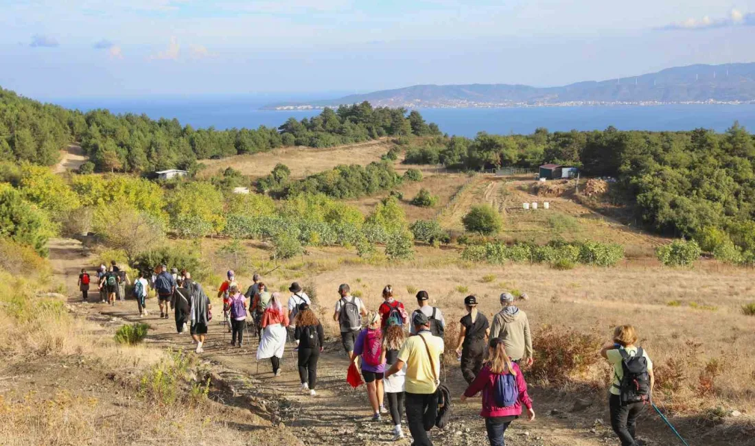 ROTA MYRLEIA’NIN ETABI DOĞASEVERLERİ