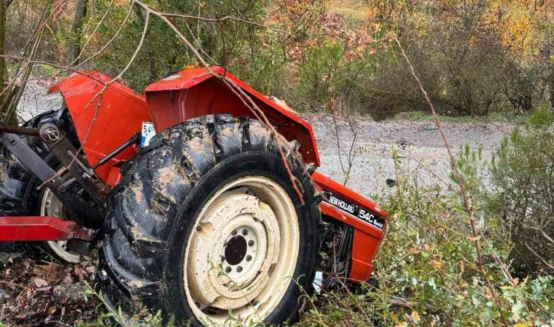 SAKARYA’NIN GEYVE İLÇESİNDE TARLADAN