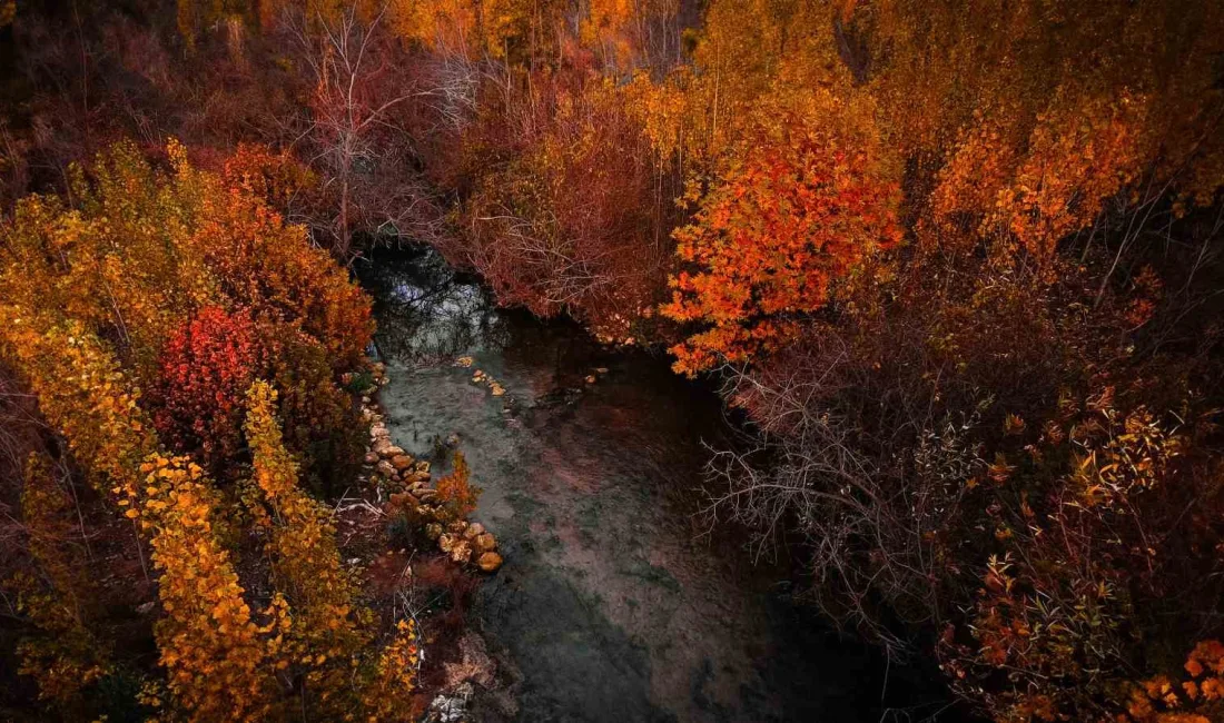 MARDİN'İN SAVUR İLÇESİNDE SONBAHARIN