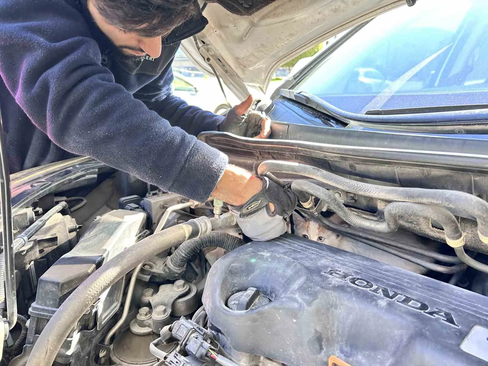 Seyir halindeyken aracından gelen sesi fark eden sürücü, soğuktan motora sığınan yavru kediyi kurtardı