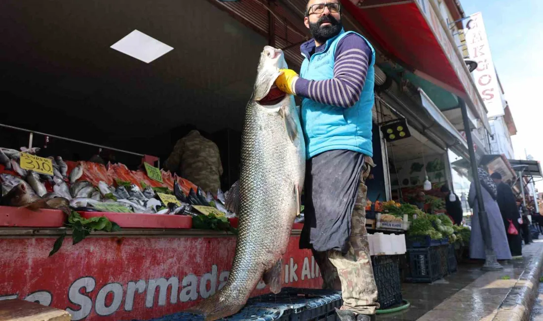 ELAZIĞ KEBAN BARAJI GÖLÜNDE