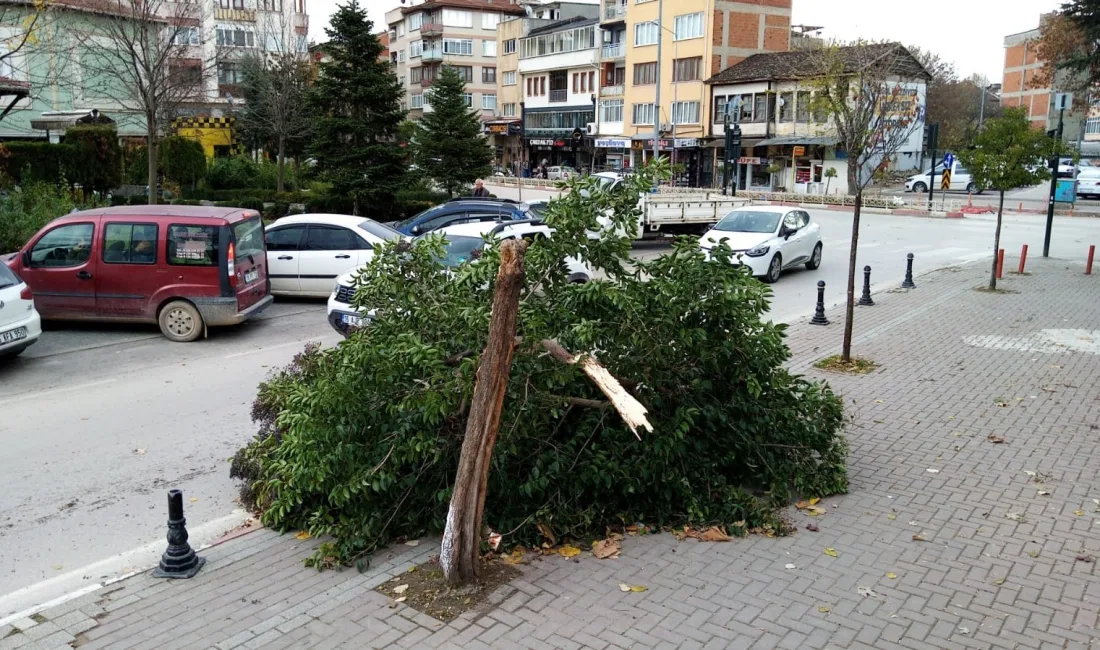 BURSA'NIN İNEGÖL İLÇESİNDE ŞİDDETLİ