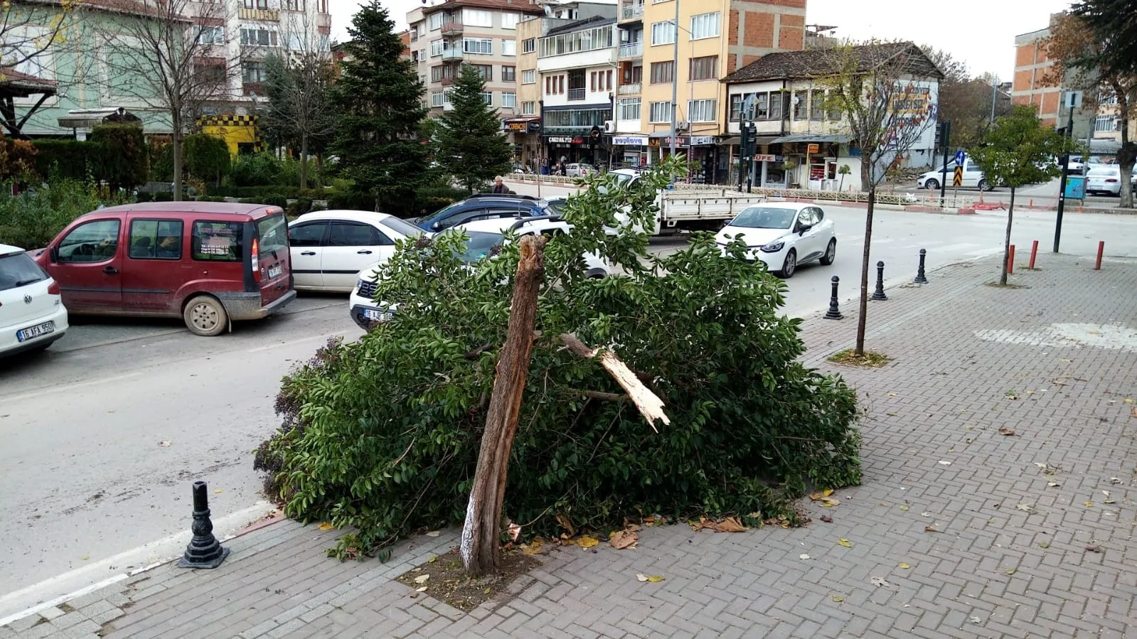 İnegöl’de şiddetli lodos koca ağacı yerle bir etti