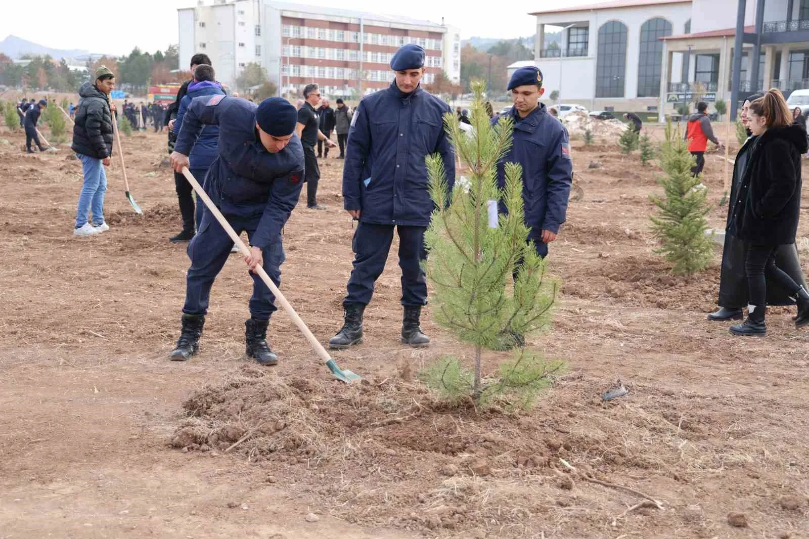 Sivas’ın ormanlık alanı 504 bin dekara yükseldi