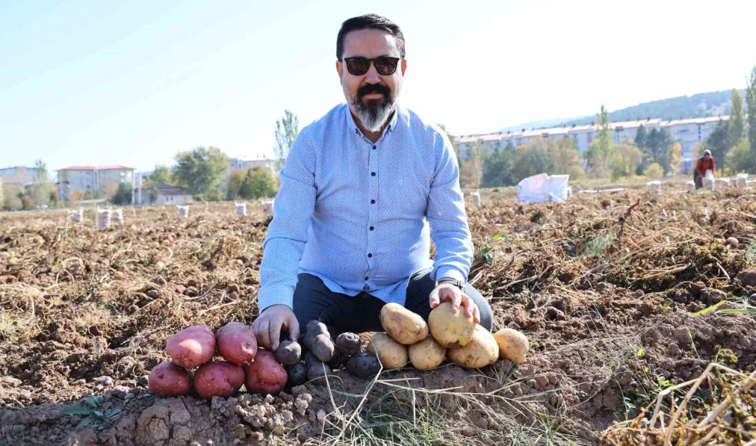 TARIM UYGULAMA VE ARAŞTIRMA