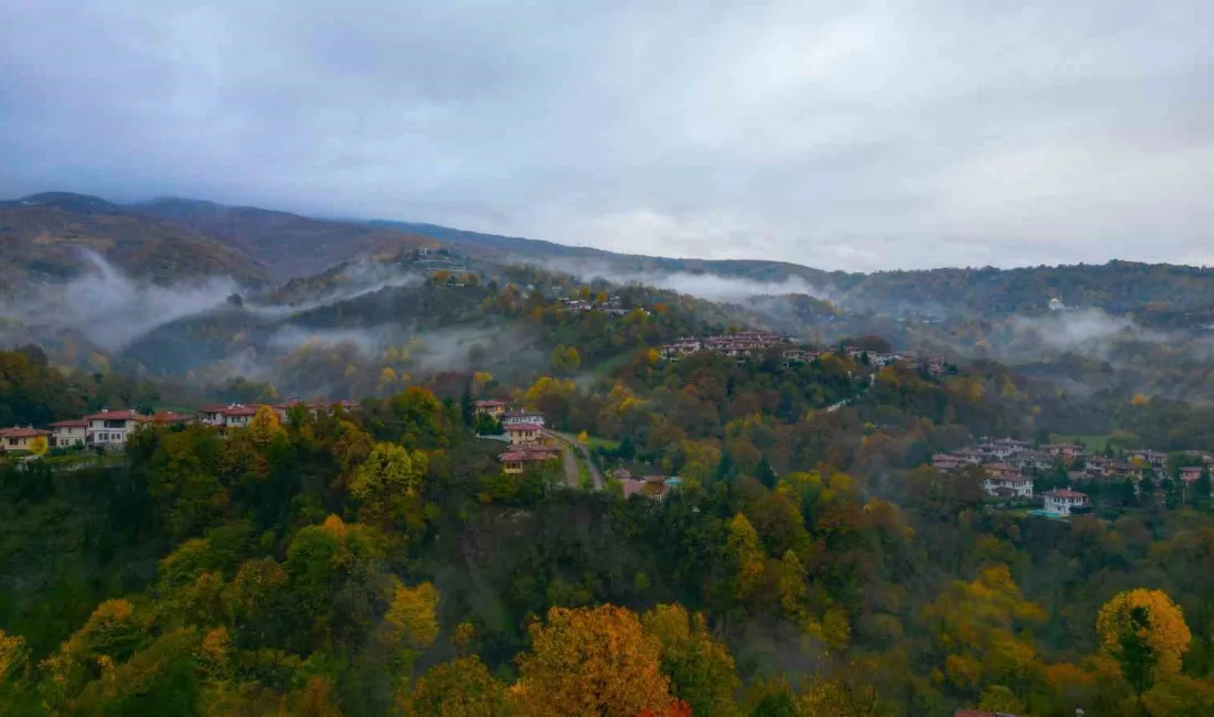 KOCAELİ'DE SONBAHARIN RENKLERİ EŞSİZ