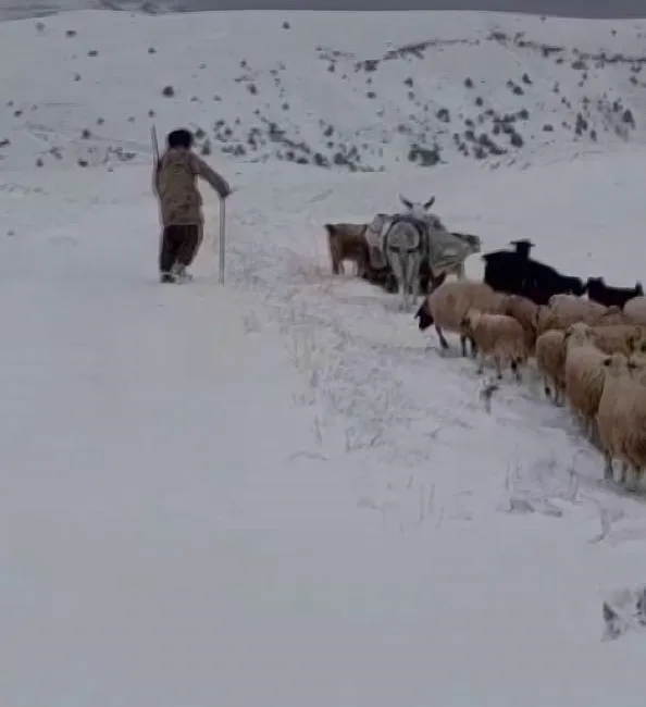 TUNCELİ’NİN ÇEMİŞGEZEK İLÇESİNDE YAYLADAN