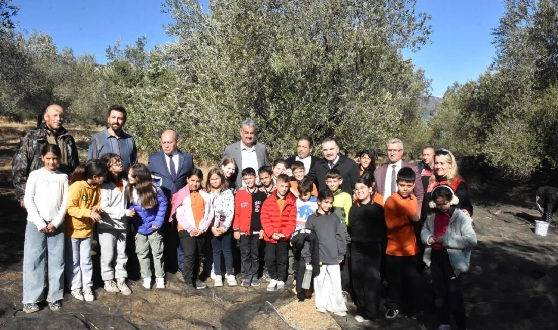 BALIKESİR’İN EDREMİT İLÇESİNDE TARLADAN