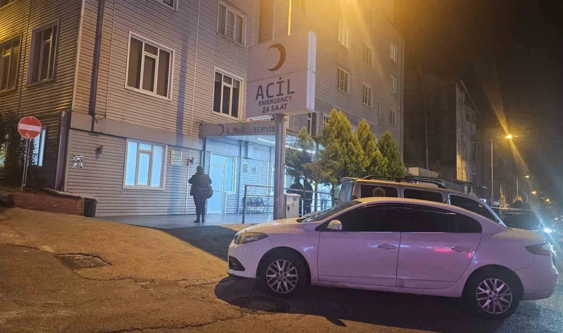 ZONGULDAK'IN EREĞLİ İLÇESİNDE İKİ