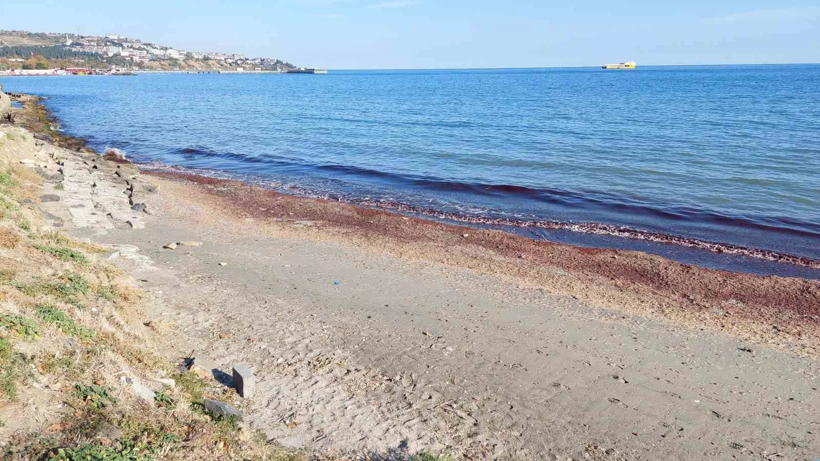 Tekirdağ’da kıyı kızıla boyandı