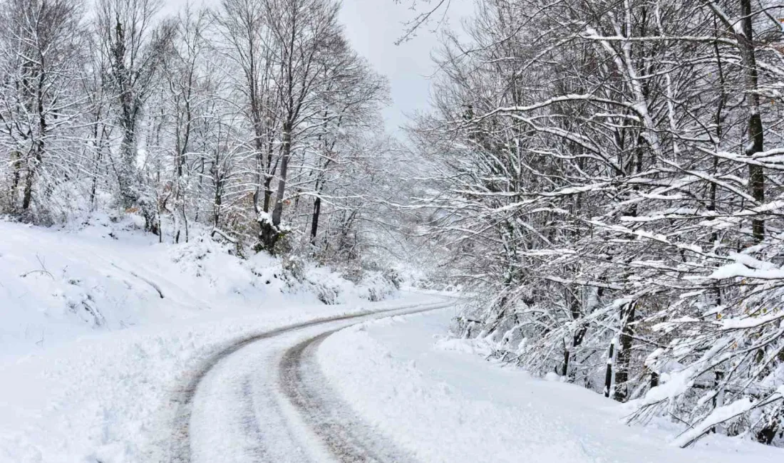 SAMSUN’UN TEKKEKÖY İLÇESİNDE ETKİLİ