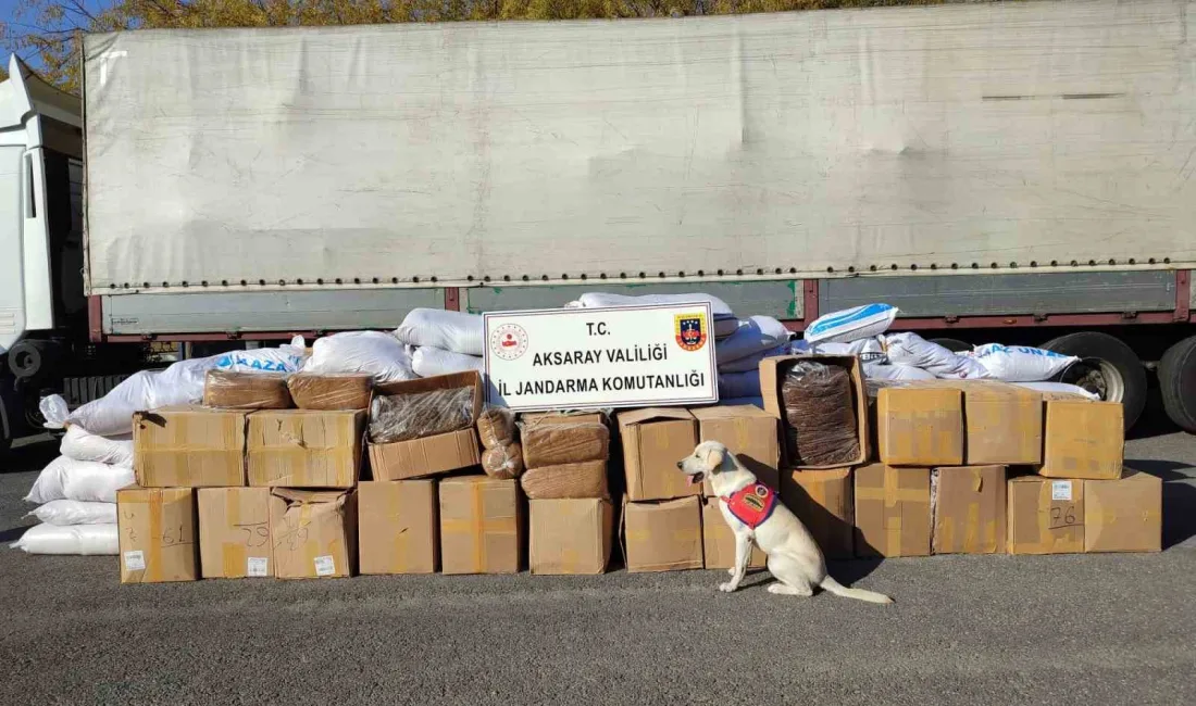 AKSARAY’DA JANDARMA EKİPLERİNİN ŞÜPHE