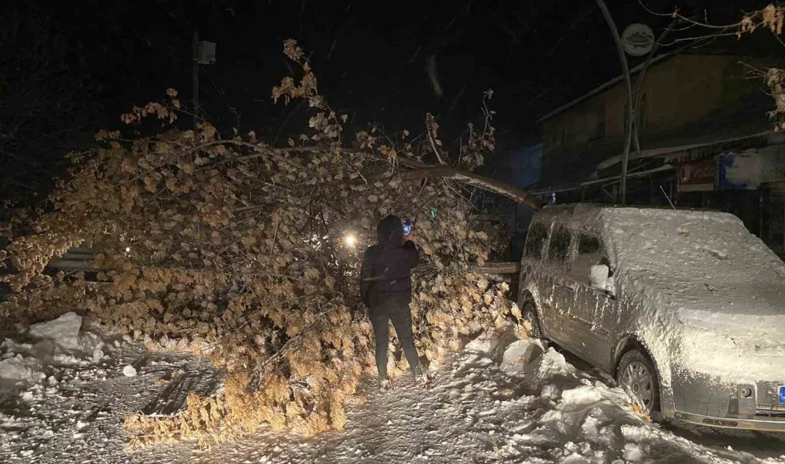 TUNCELİ’NİN HOZAT İLÇESİNDE ETKİLİ