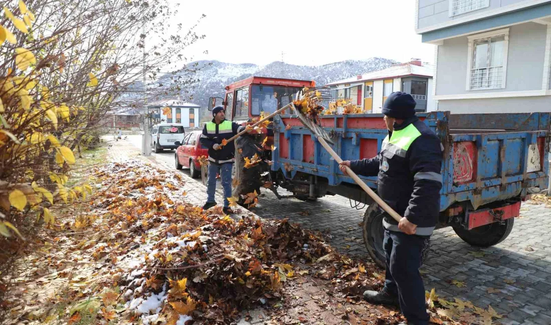 TURHAL BELEDİYESİ, DÖKÜLEN YAPRAKLARI