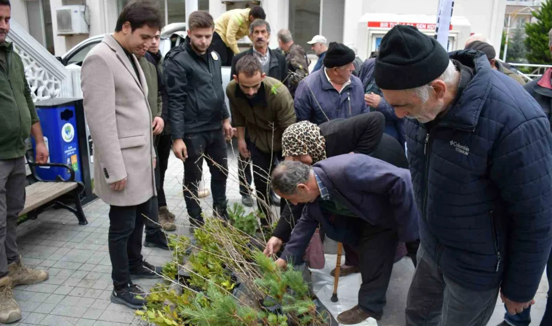 TÜRKELİ'DE VATANDAŞLARA ÜCRETSİZ FİDAN