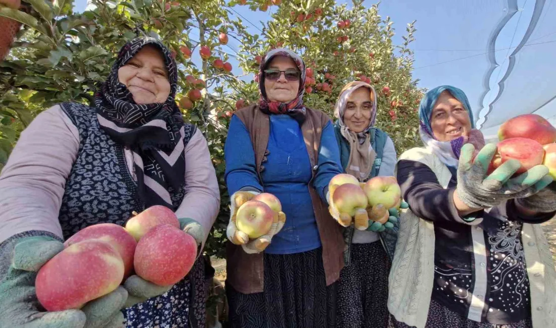 KARAMAN ZİRAAT ODASI YÖNETİM