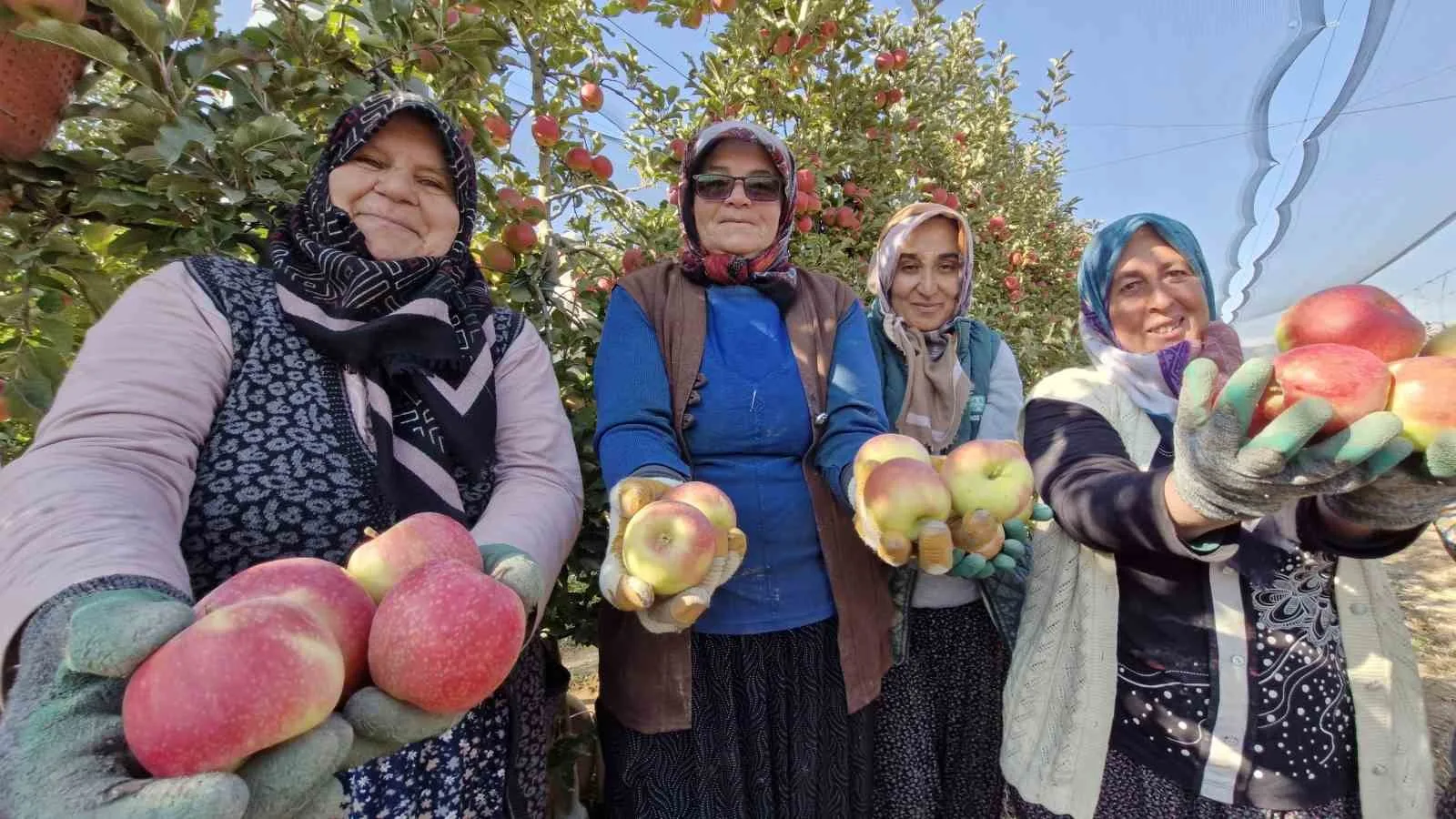 Türkiye’nin elma deposunda son hasat yapılıyor