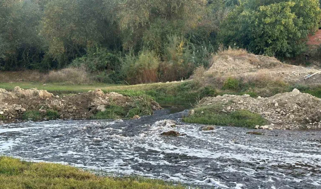 KÜTAHYA'DAN BAŞLAYIP UŞAK VE