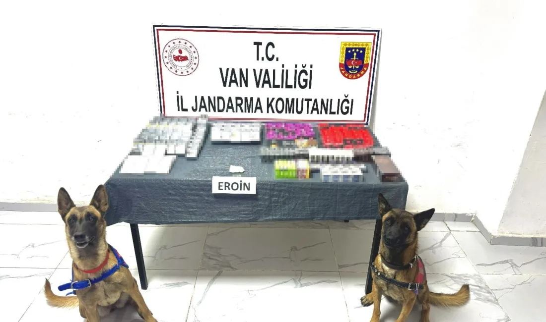 VAN’DA JANDARMA EKİPLERİNCE YÜRÜTÜLEN