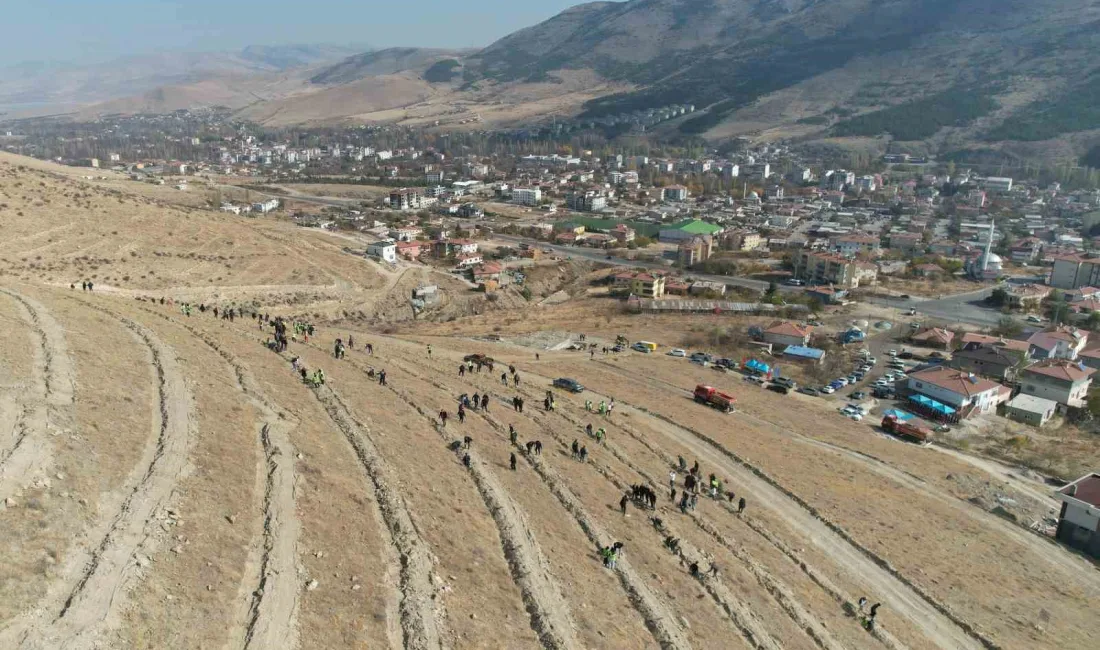 KAYSERİ’NİN YAHYALI İLÇESİNDE 'GELECEĞE NEFES İNSANLIĞA NEFES' SLOGANIYLA FİDAN DİKİMİ