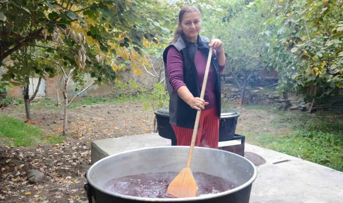 CENNET HURMASINI BU SENE