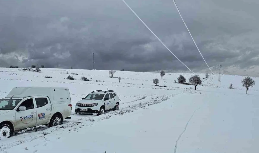 YEŞİLIRMAK ELEKTRİK DAĞITIM A.Ş.