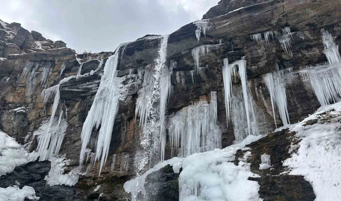 HAKKARİ’NİN YÜKSEKOVA İLÇESİNİN ORŞE