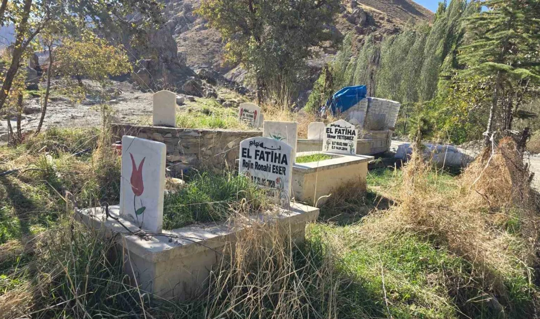 HAKKARİ’NİN TARİHİ DOKUSUYLA ÖNEMLİ