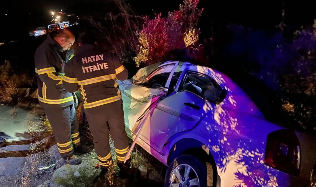 HATAY'DA ZEYTİN BAHÇESİNE DEVRİLEN