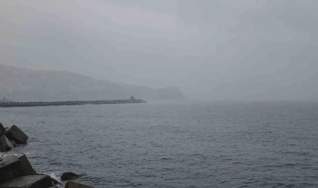 ZONGULDAK'TA HAVA SICAKLIKLARININ 11