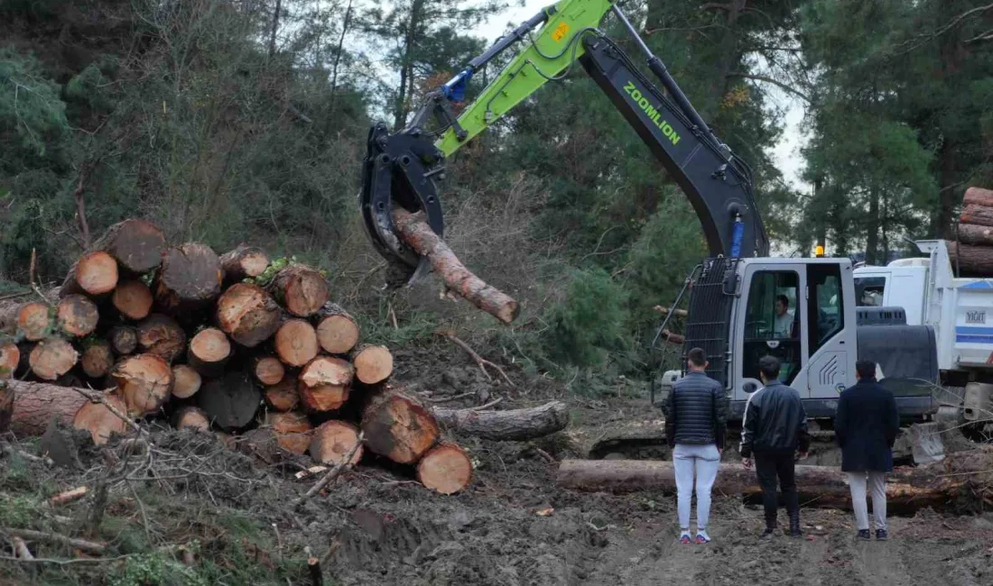 BURSA’DA YAKLAŞIK 100 DÖNÜM