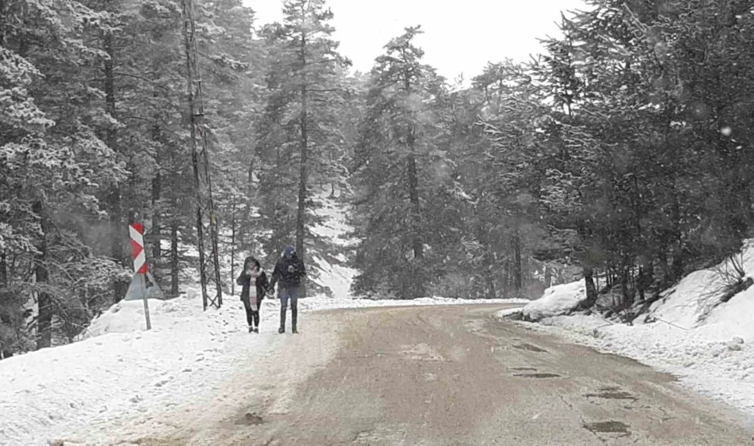 BOLU’NUN DOĞA HARİKASI ABANT