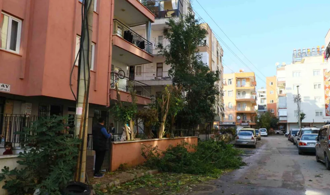 ANTALYA’DA APARTMANIN BAHÇESİNDE BULUNAN