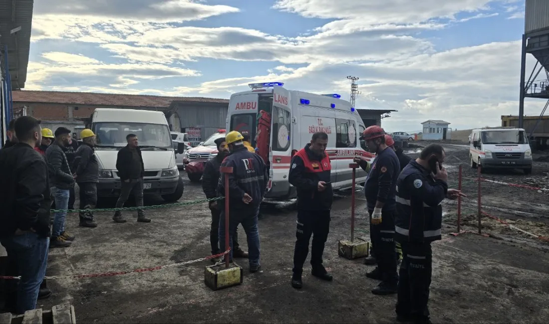 AMASYA'NIN SULUOVA İLÇESİNDE KÖMÜR