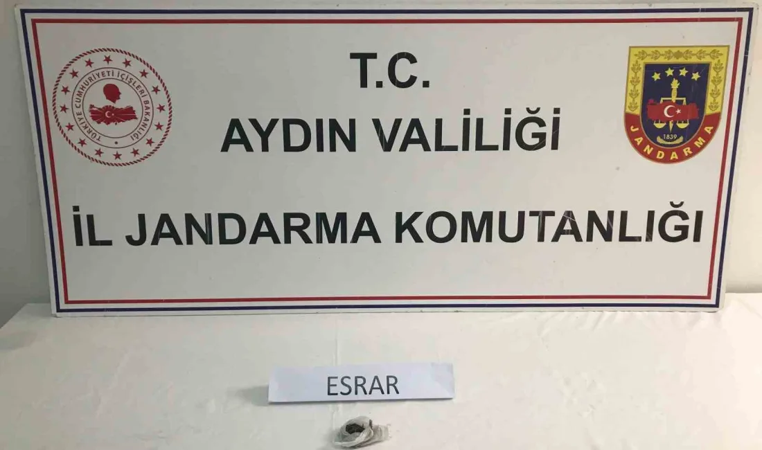 AYDIN'IN KOÇARLI, KUŞADASI, KUYUCAK