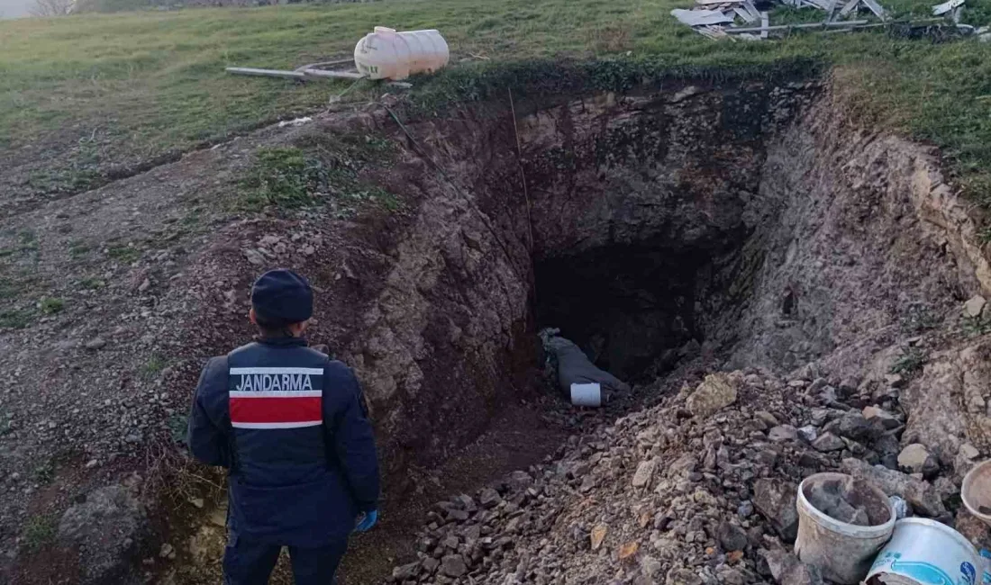 SAMSUN'DA BAĞ EVİNİN BAHÇESİNDE