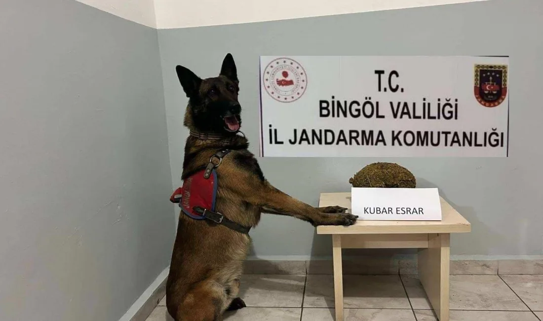 BİNGÖL’DE JANDARMA EKİPLERİ TARAFINDAN