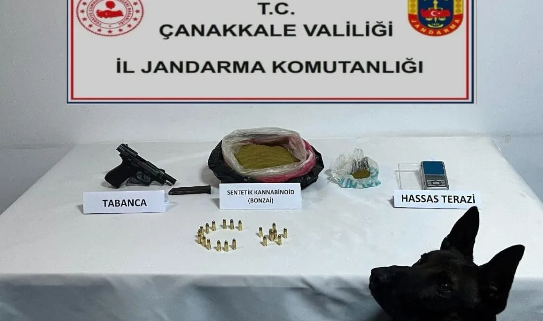 ÇANAKKALE'DE JANDARMA EKİPLERİ TARAFINDAN