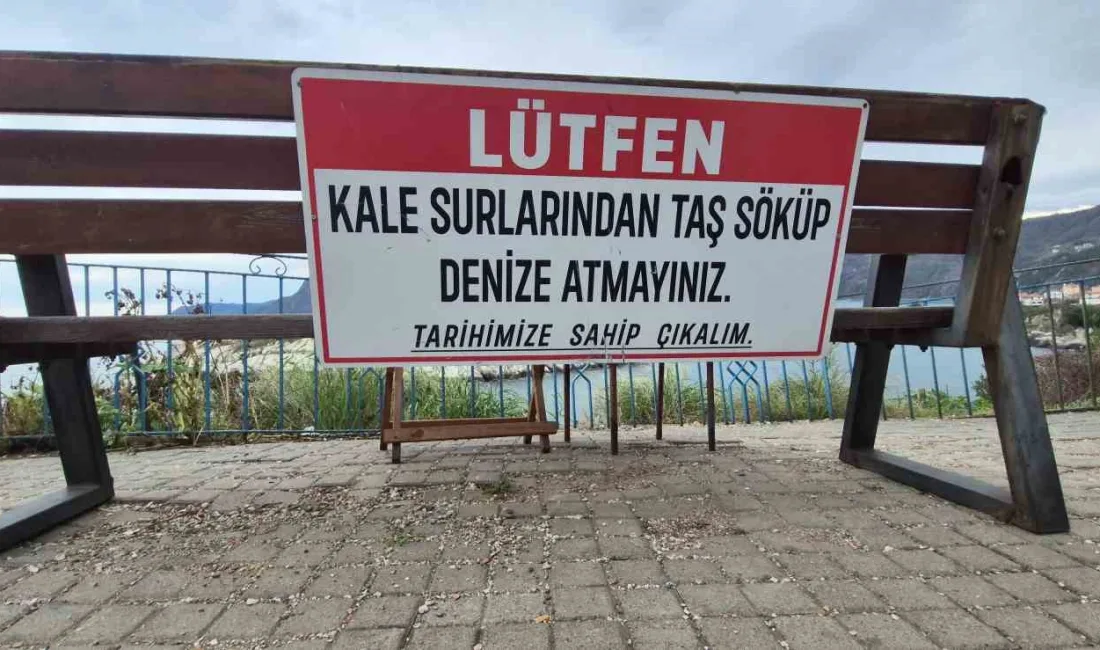 MUTEŞEM DOĞASI, TARİHİ VE