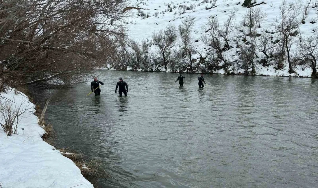 ERZURUM’UN AŞKALE İLÇESİNDE ARACI